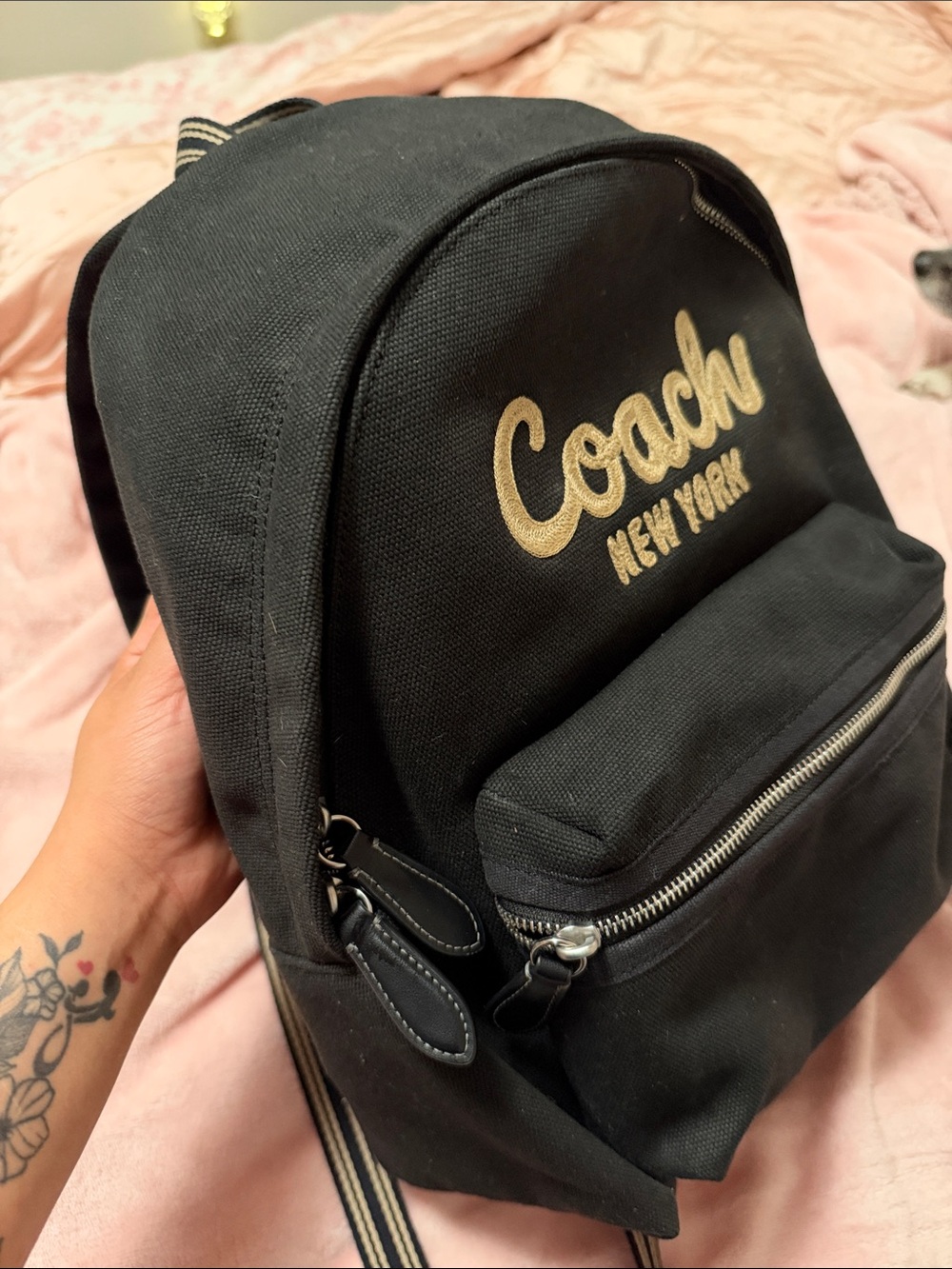 Coach Outlet Cargo Backpack - Picture 5 of 6